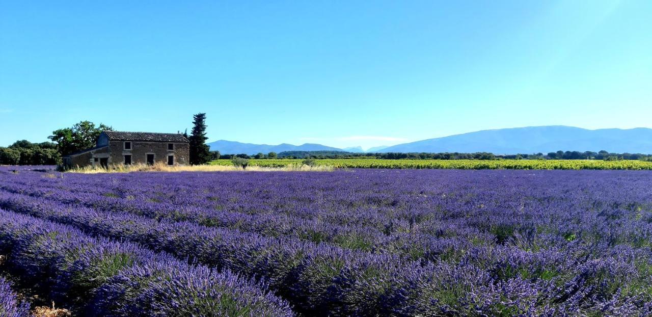 Вилла L'Instant Provence Вальреас Экстерьер фото